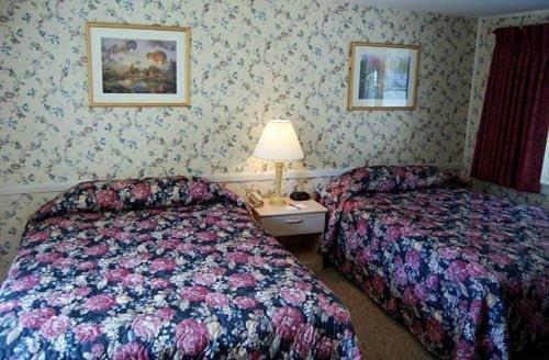 Oxen Yoke Motel North Conway Room photo